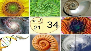 Universality of Fractals